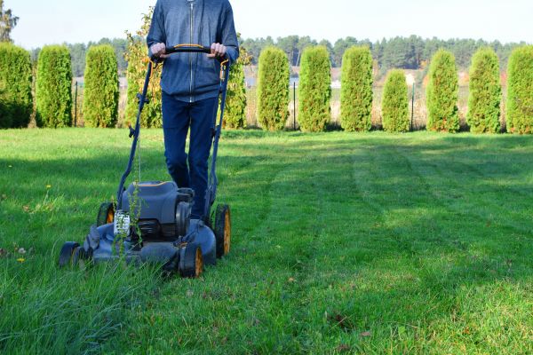 One Visit Lawn Service - One Visit Lawn Service Longmont, Colorado