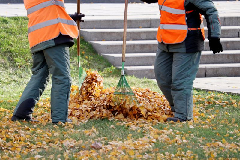Autumn Leaf Removal Crew