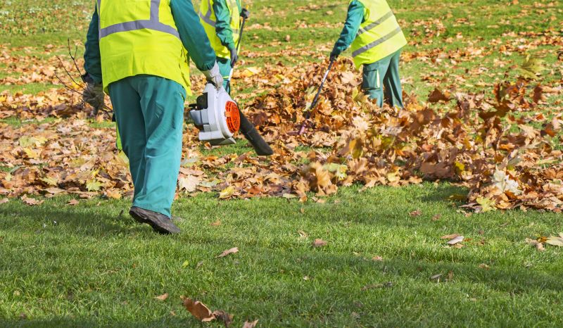 Effective Leaf Clearing
