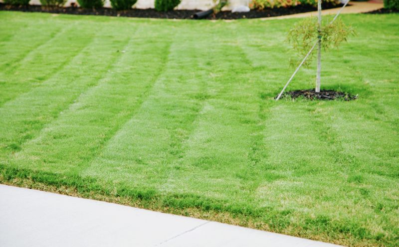 Lawn After Trimming